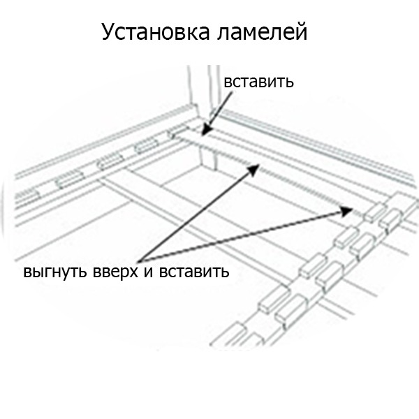 b525c6c7-4196-475a-a4fe-0c32c6c387d0.jpg